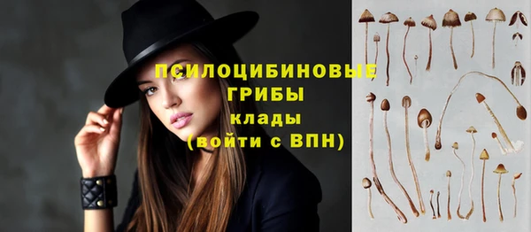 ешки Армянск