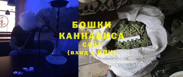 ГАЛЛЮЦИНОГЕННЫЕ ГРИБЫ Сатка