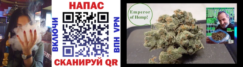 где продают   Козьмодемьянск  Бошки Шишки Bruce Banner 